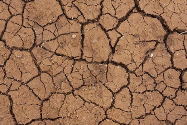 Let op verdroging van planten! https://www.franscommandeur.nl/wp-content/uploads/2013/02/nieuwsbrief-droogte.jpg