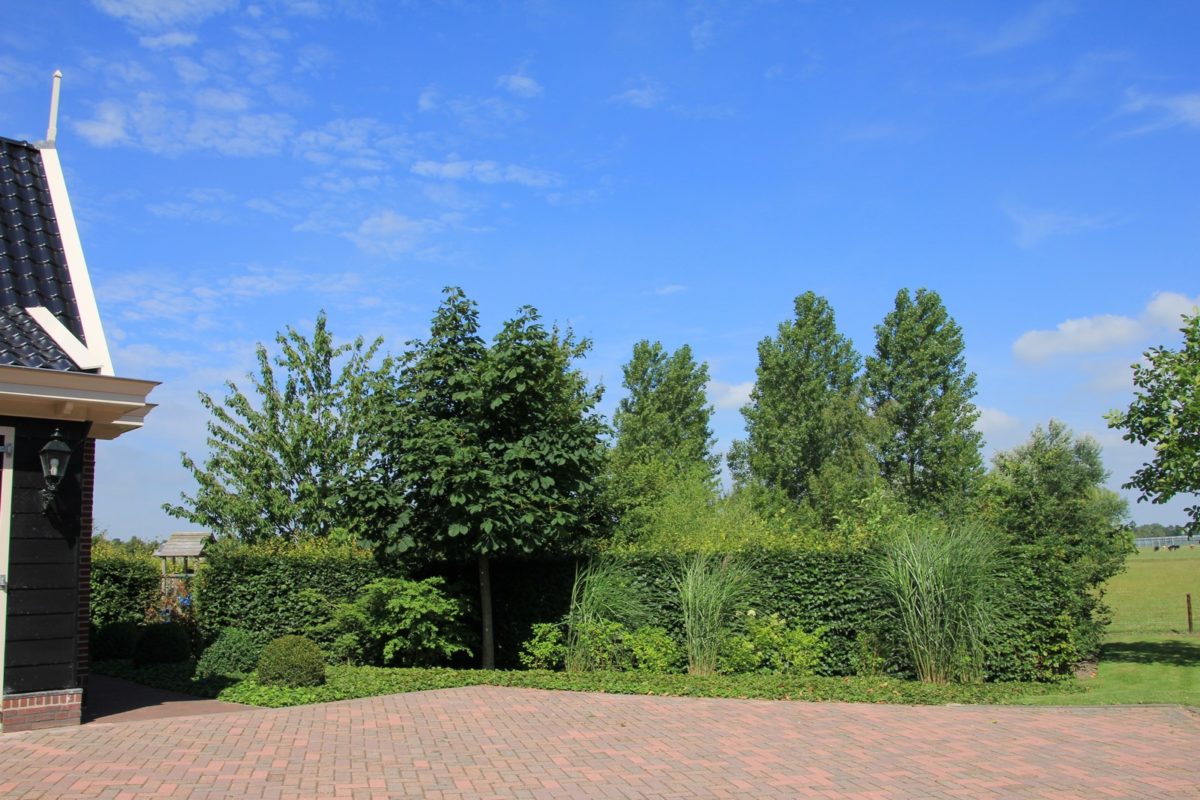Landgoed met schapenweide