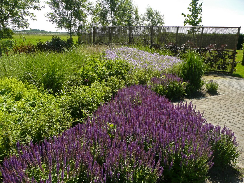 Fleurig landelijk Westwoud