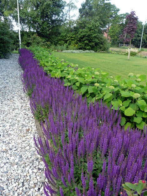 Fleurig landelijk Westwoud