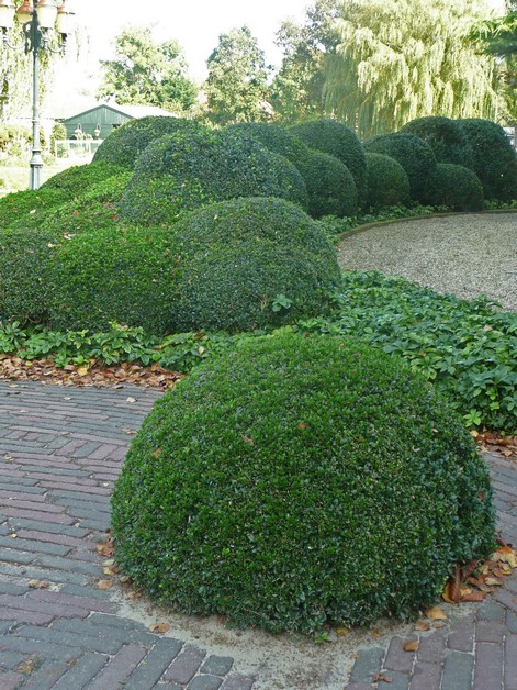 Imposante landelijke vijver
