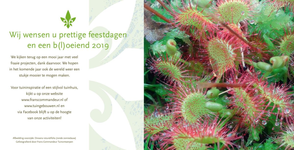 https://www.franscommandeur.nl/wp-content/uploads/2019/03/kerstkaart-frans-commandeur-2018-website_tn-1200x614.jpg